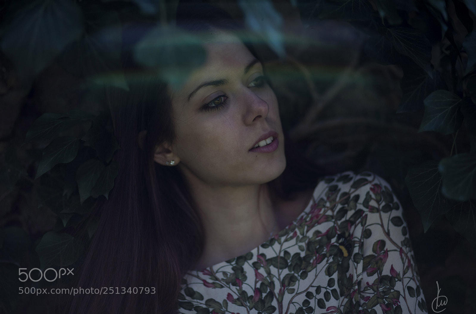 Canon EOS 5D sample photo. Anjie photography