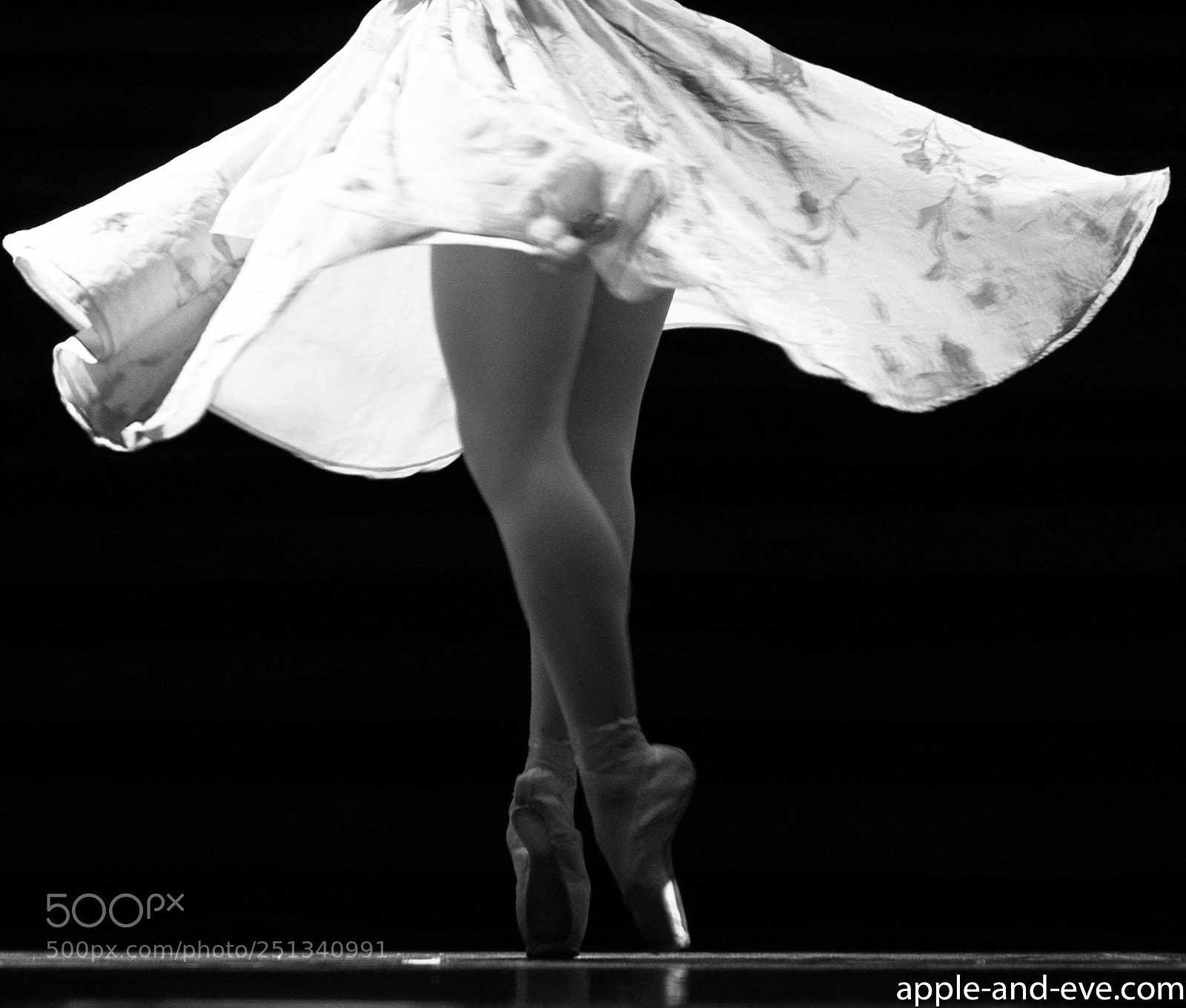 Nikon D800 sample photo. Ballet legs photography