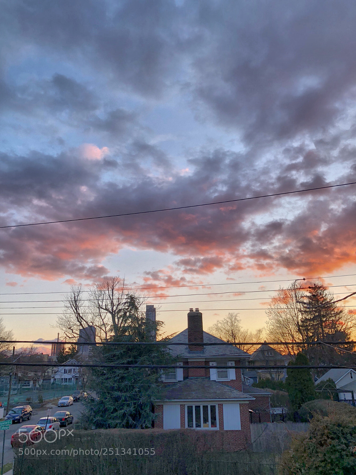 Apple iPhone 8 Plus sample photo. Untitled photography