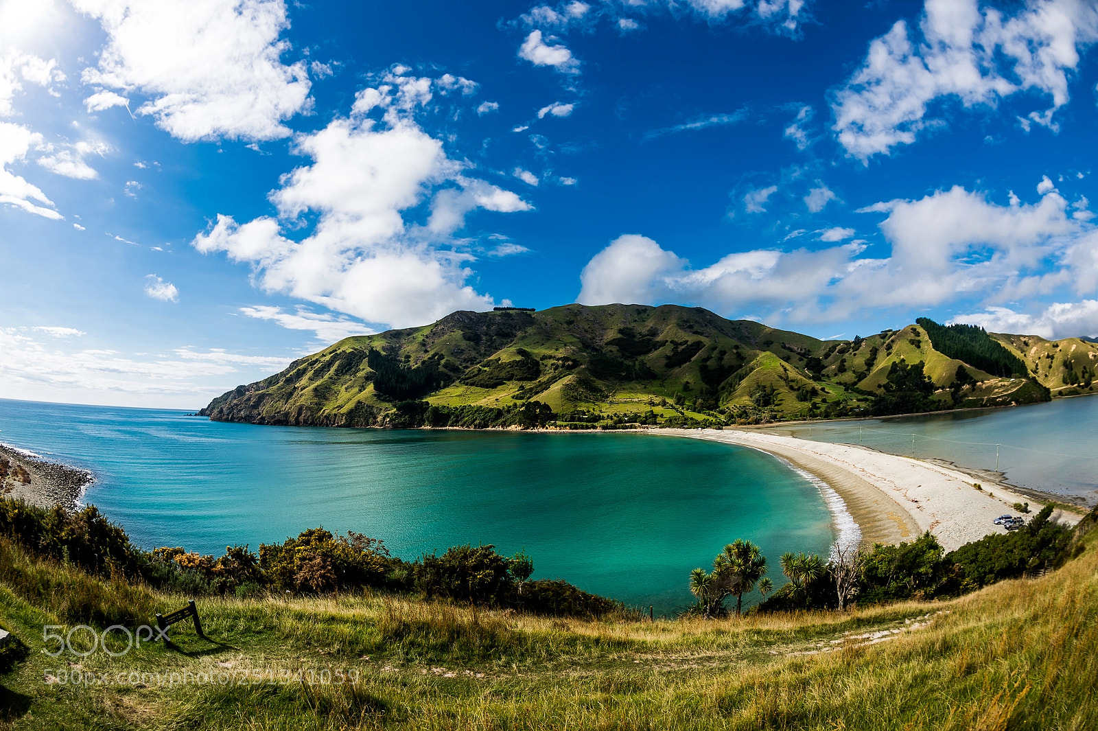 Nikon D4 sample photo. New zealand photography
