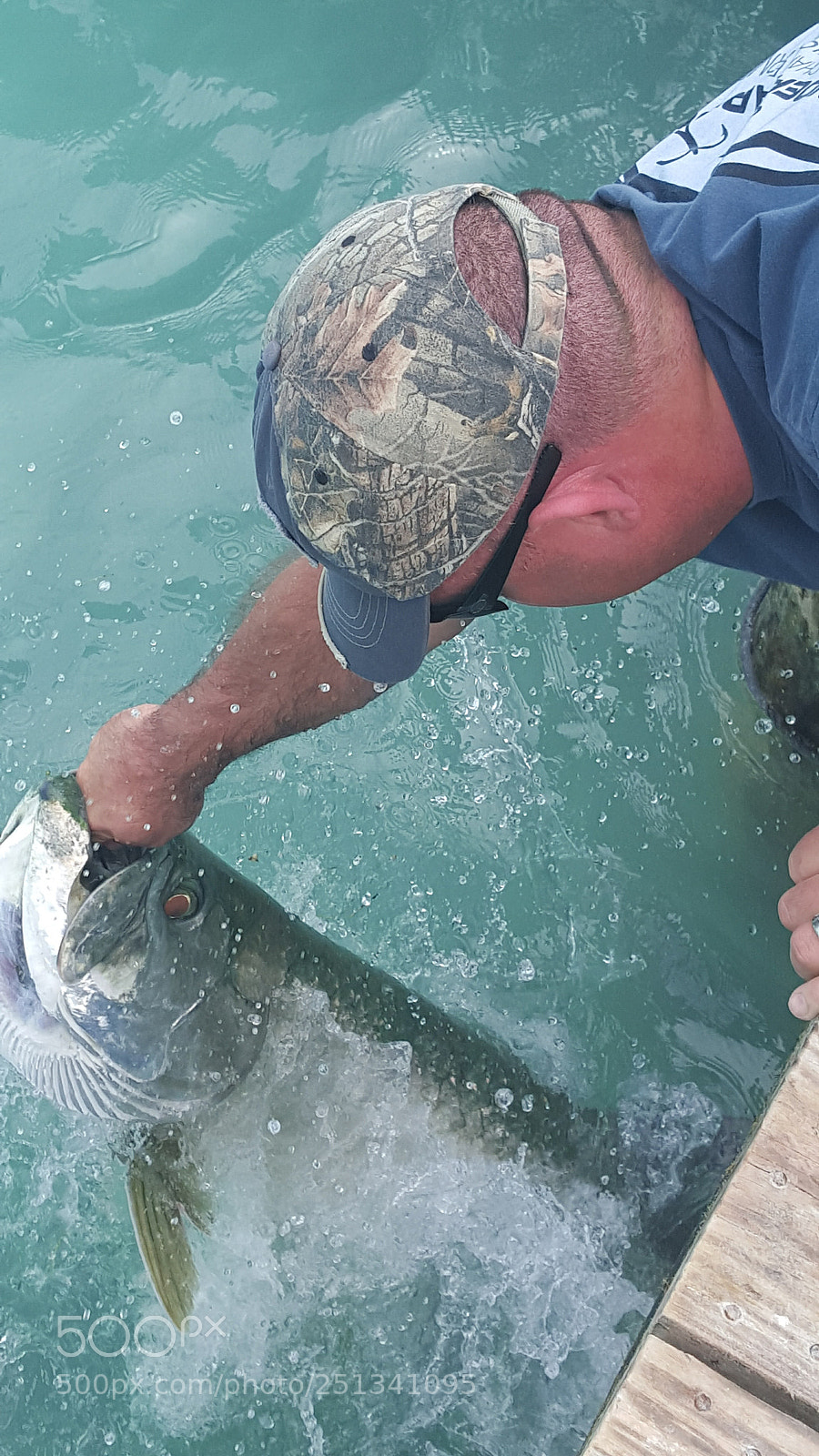 Samsung Galaxy S6 sample photo. Tarpon photography