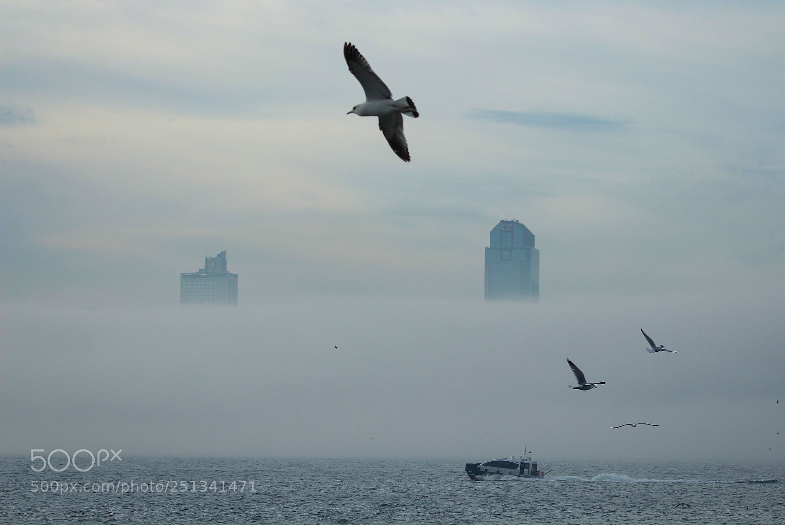 Canon EOS 650D (EOS Rebel T4i / EOS Kiss X6i) sample photo. Foggy sea photography