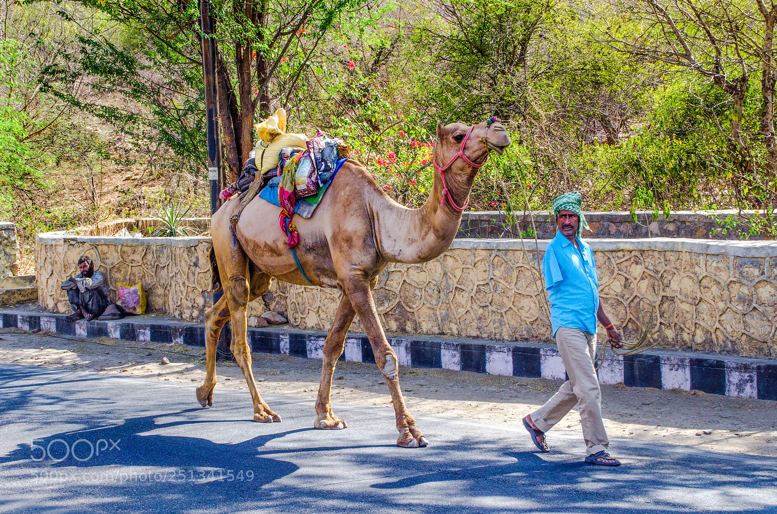 Nikon D7000 sample photo. Camel ride? photography
