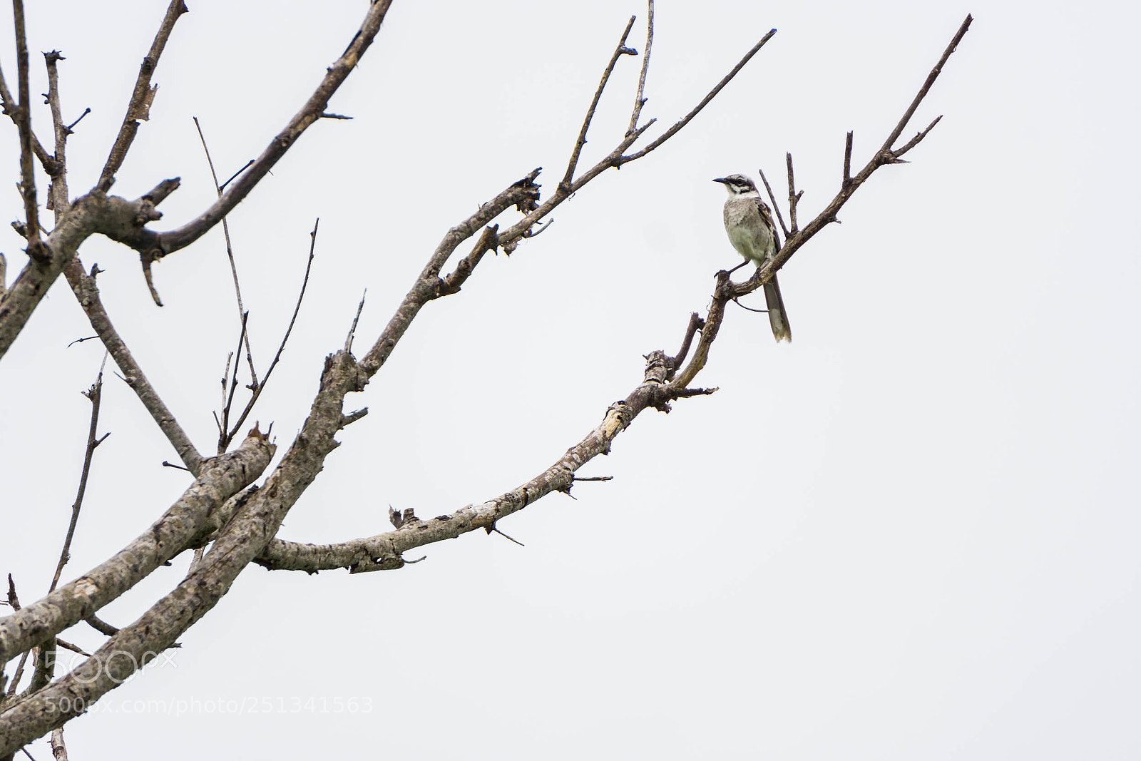 Sony a6000 sample photo. Dsc photography