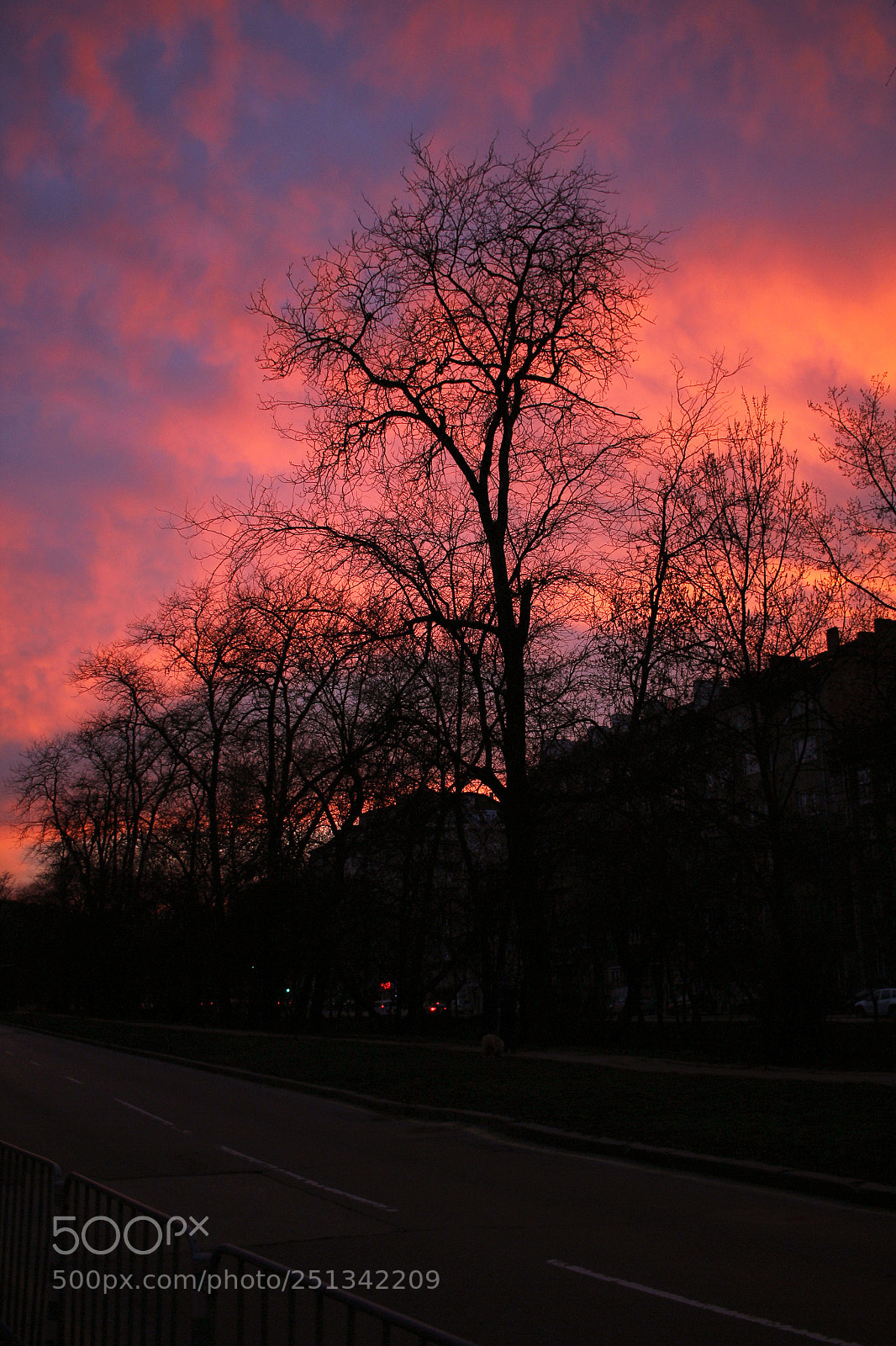 Canon EOS 600D (Rebel EOS T3i / EOS Kiss X5) sample photo. Sunset vol.2 photography