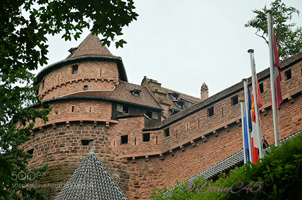 Nikon D5100 sample photo. Alsace (24) photography