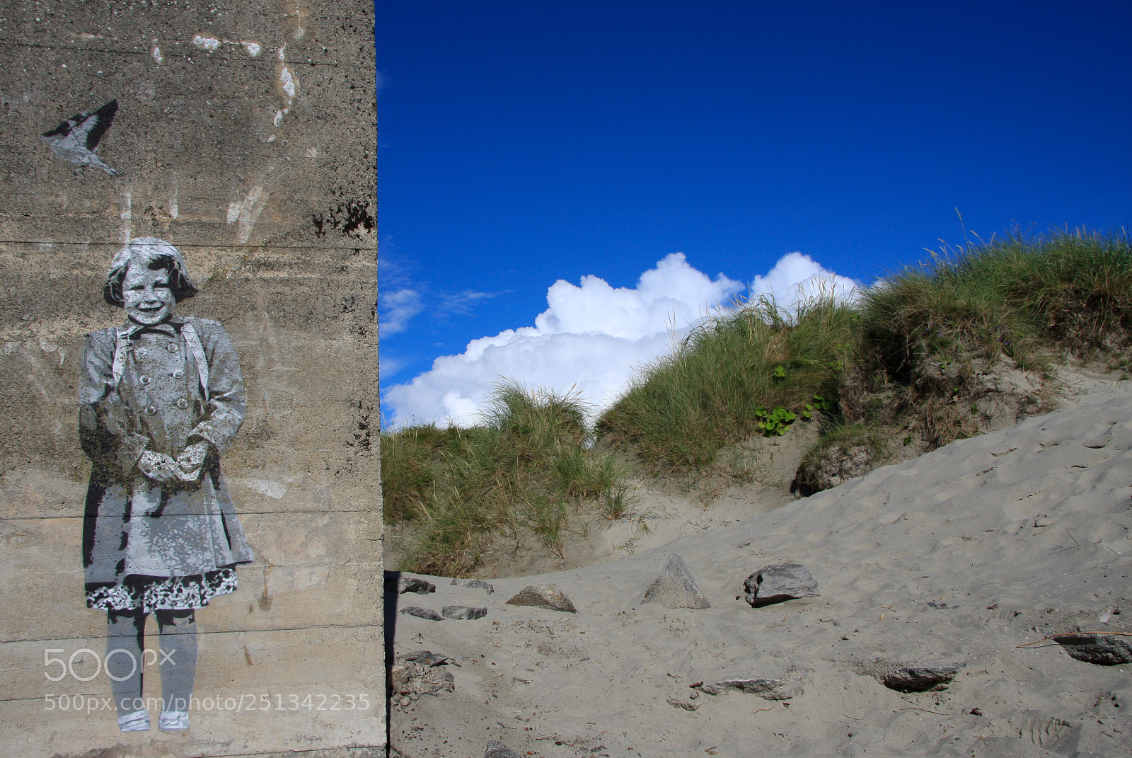 Canon EOS 40D sample photo. Contrast photography