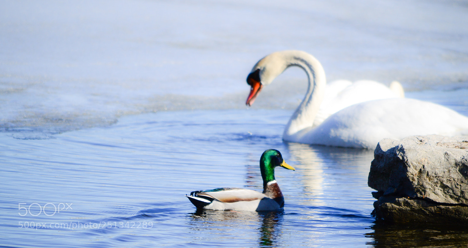 Nikon D3200 sample photo. Friendly photography