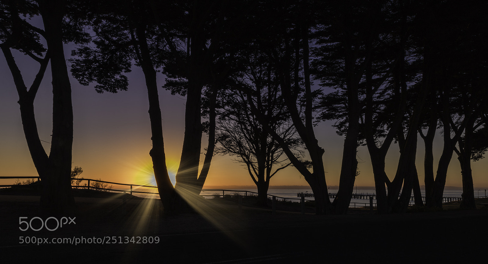 Canon EOS 6D Mark II sample photo. St leonards sunburst photography