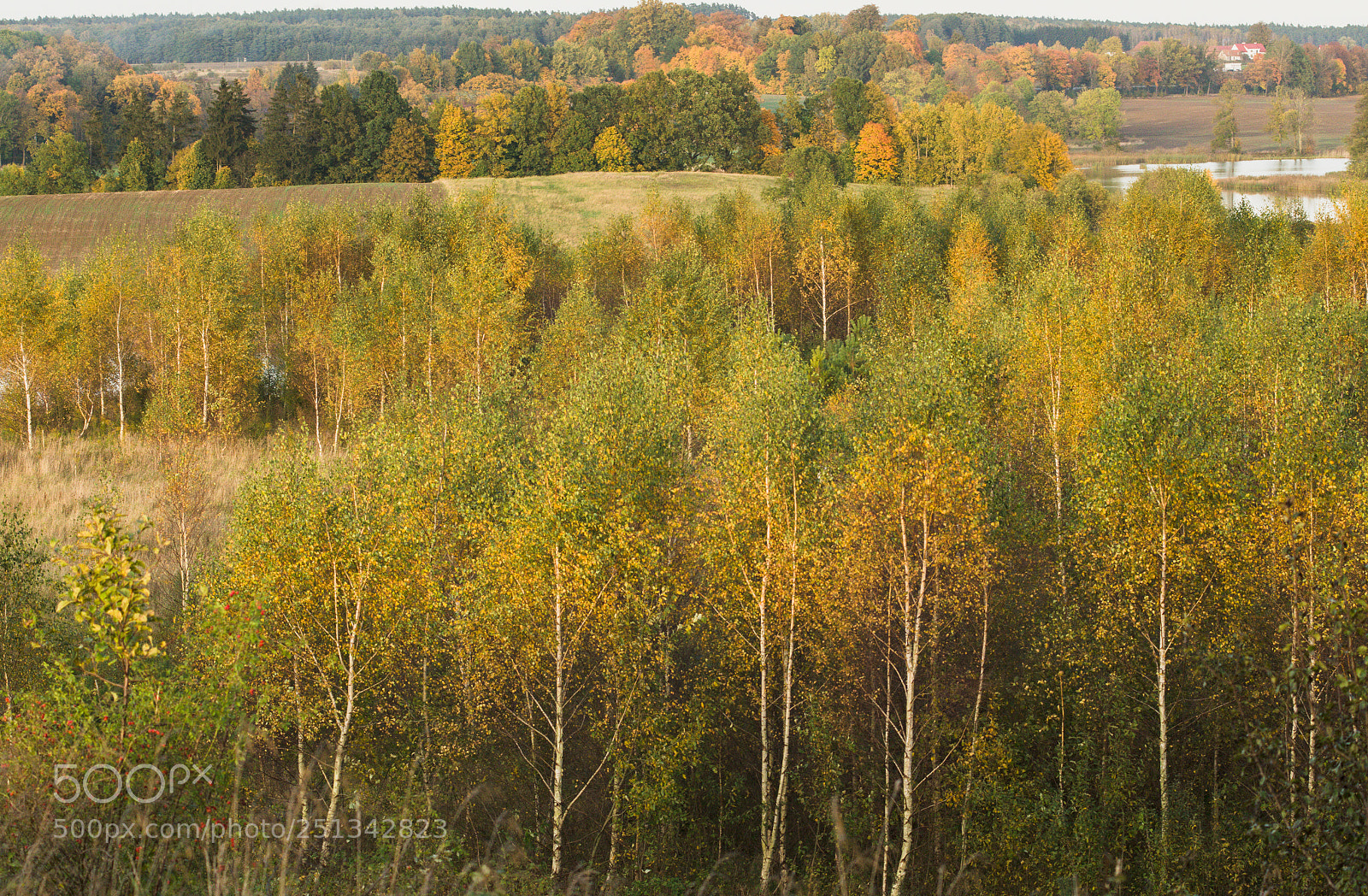 Nikon D7000 sample photo. Colors of warmia photography