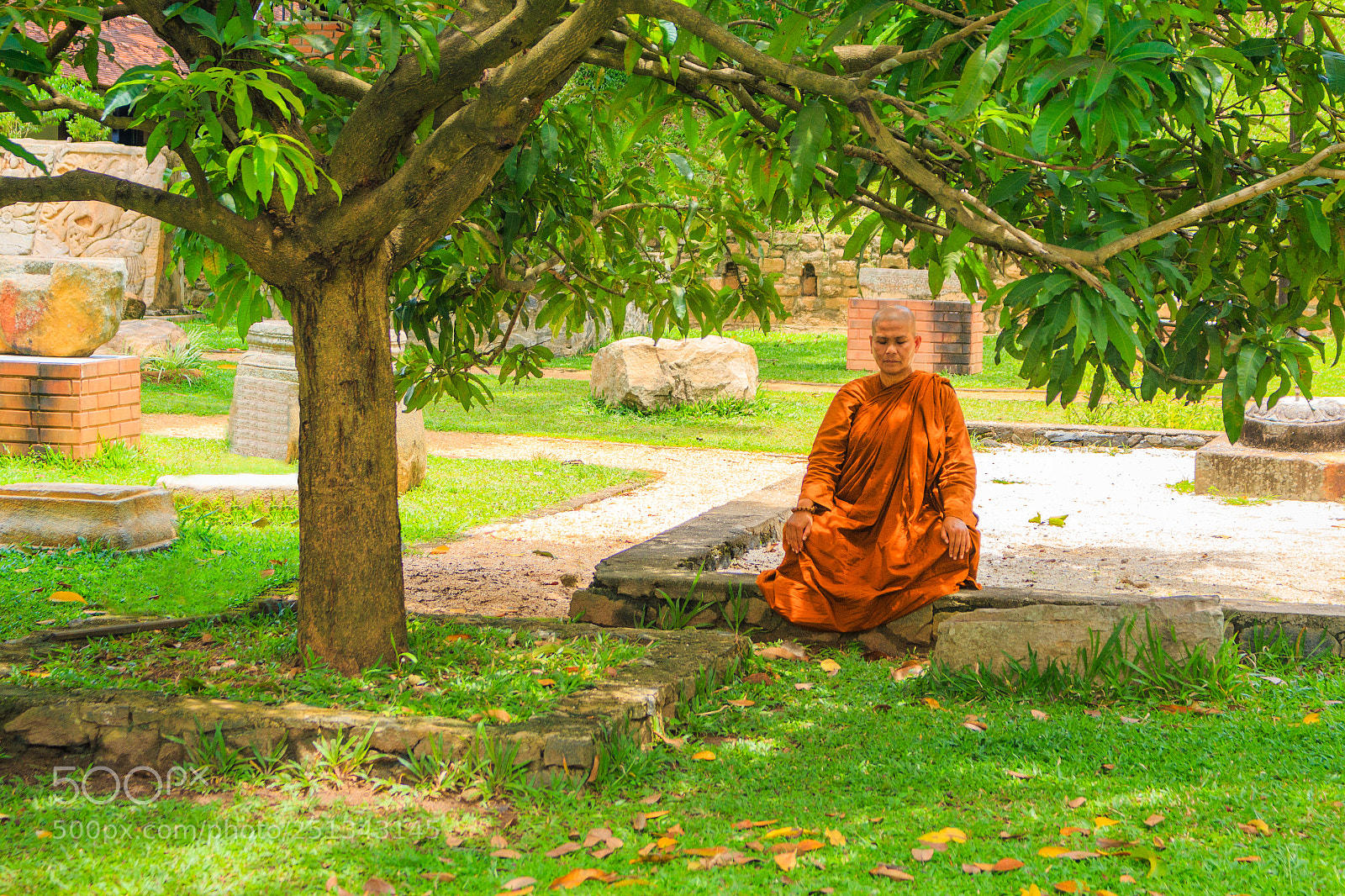 Canon EOS 70D sample photo. Female buddhist monk meditating photography