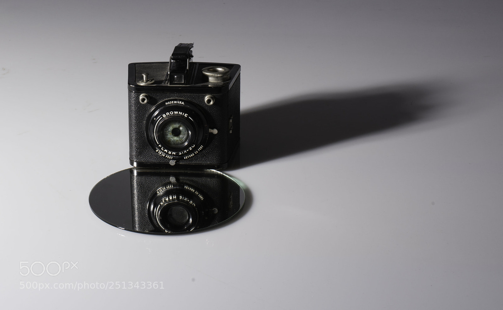 Nikon D810 sample photo. Brownie photography