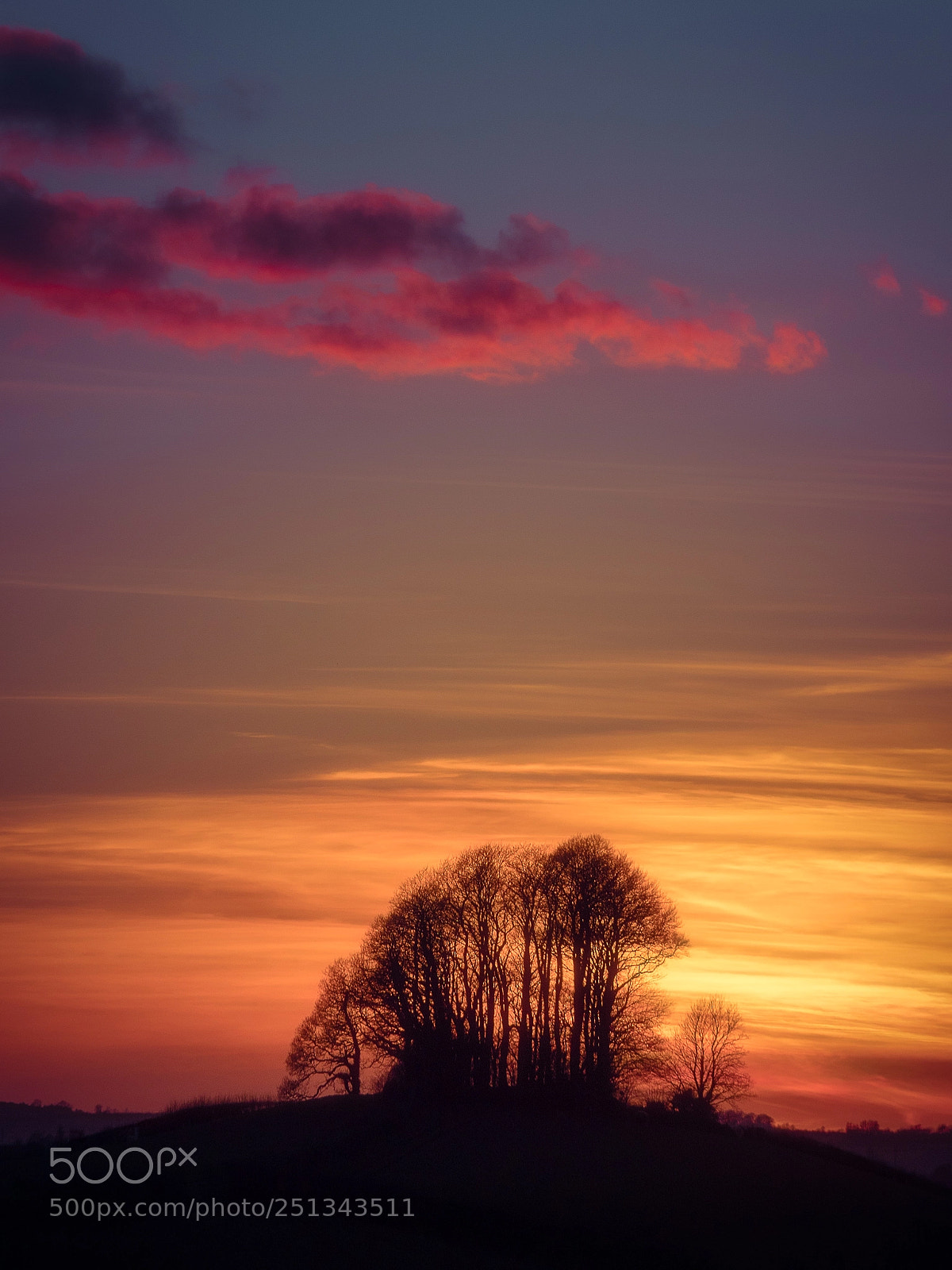 Panasonic Lumix DMC-GX8 sample photo. Landrake copse photography