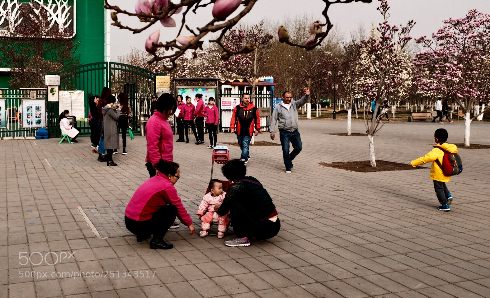 Fujifilm X100F sample photo. Untitled photography