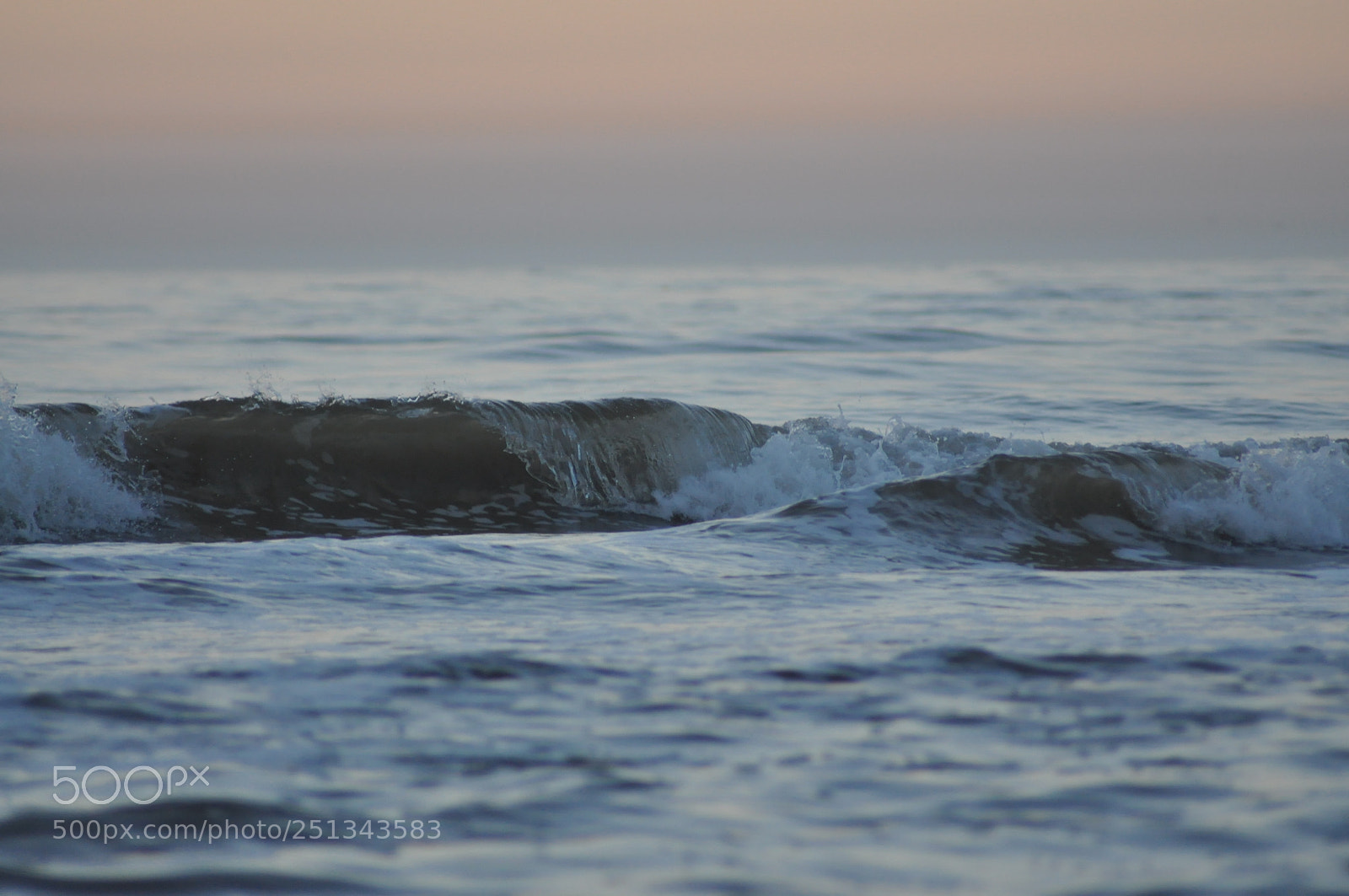 Nikon D90 sample photo. Untitled photography