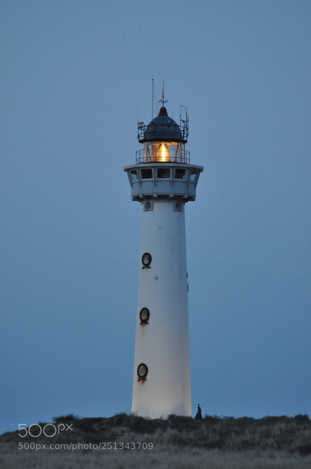 Nikon D90 sample photo. Untitled photography