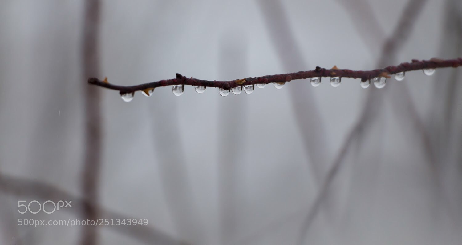 Canon EOS 700D (EOS Rebel T5i / EOS Kiss X7i) sample photo. Water drops  photography