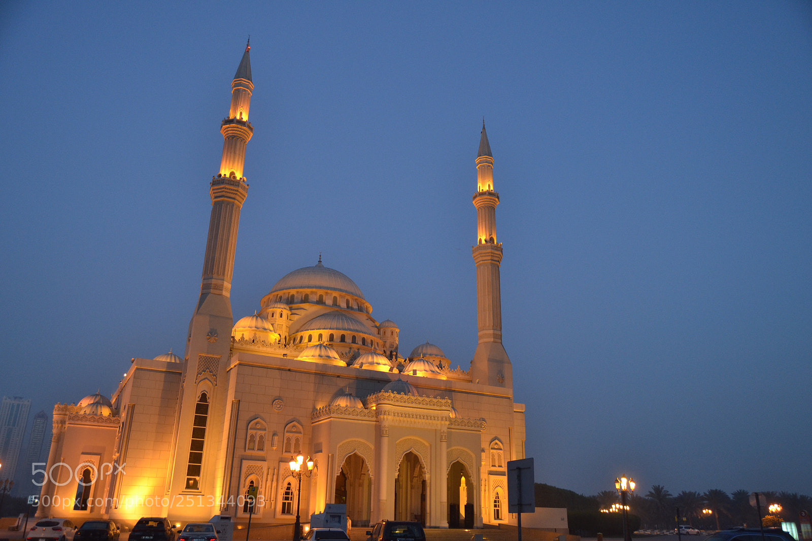 Nikon D3100 sample photo. Untitled photography