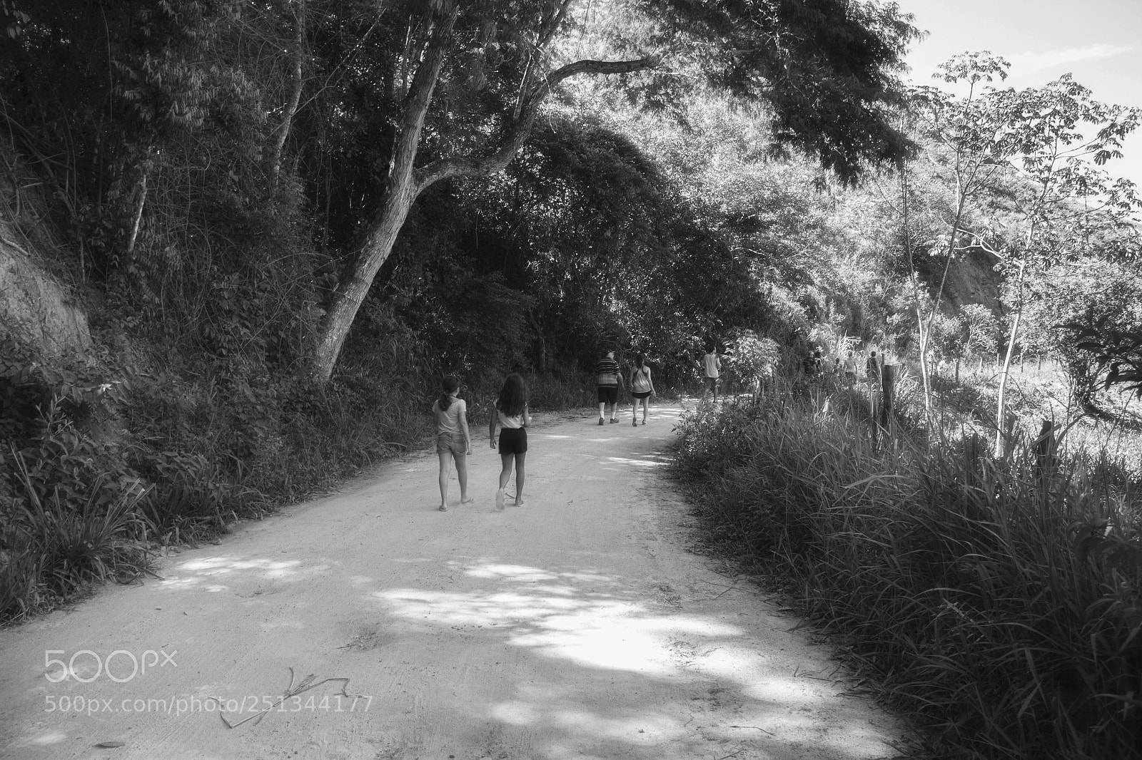 Canon EOS 60D sample photo. It's not a race photography