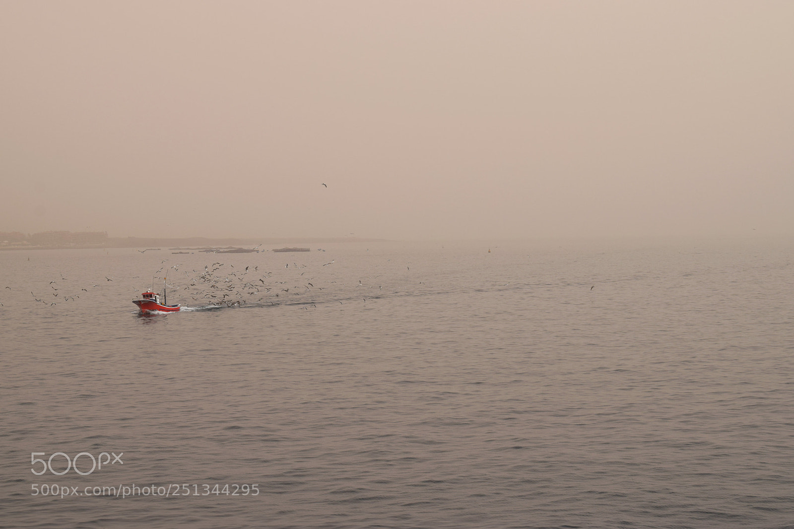 Nikon D3300 sample photo. Boat at los christianos photography