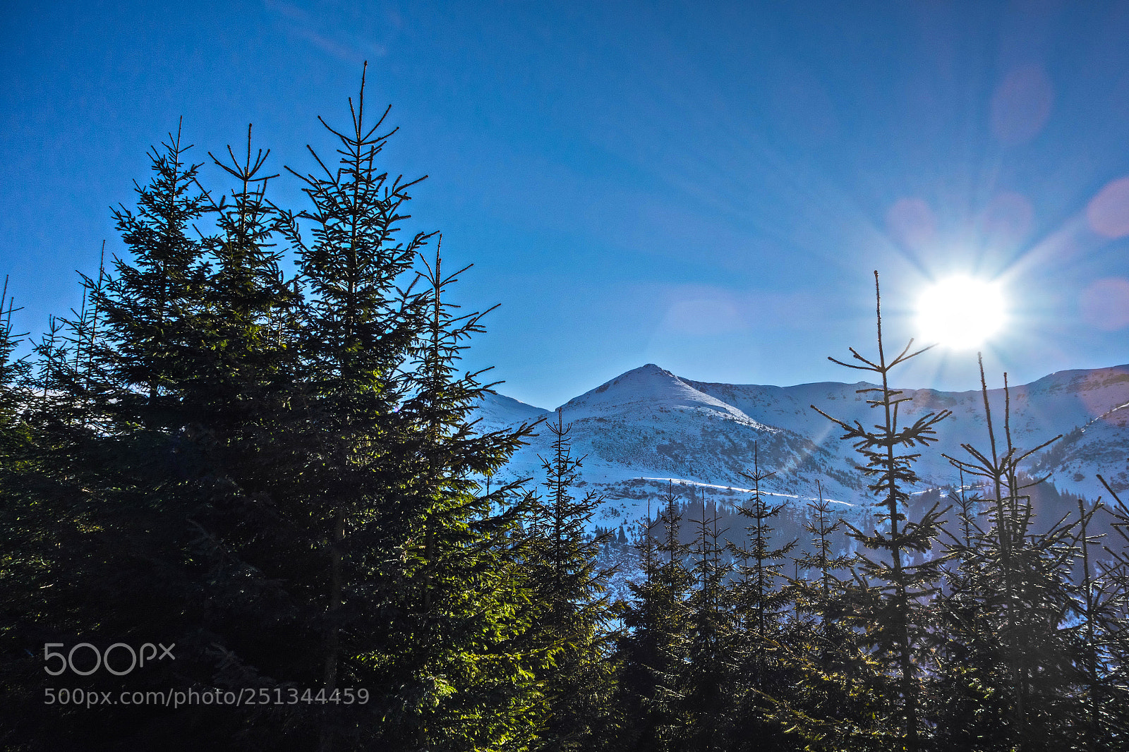 Sony Cyber-shot DSC-RX100 sample photo. Rays of winter photography