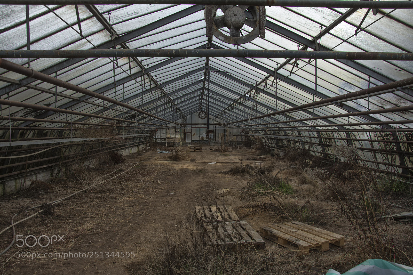 Nikon D7100 sample photo. A brown greenhouse photography