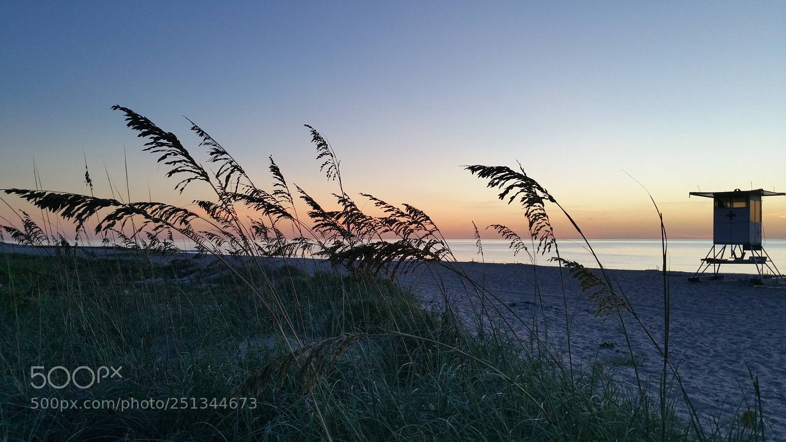 Samsung Galaxy Note4 sample photo. Nature photography