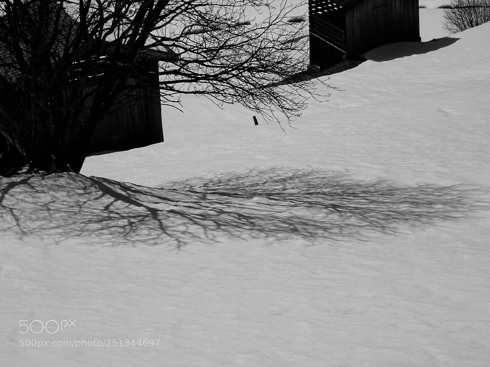 Sony DSC-HX60V sample photo. Shadows... photography