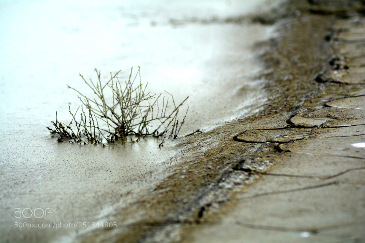Nikon D7100 sample photo. Mud about... photography