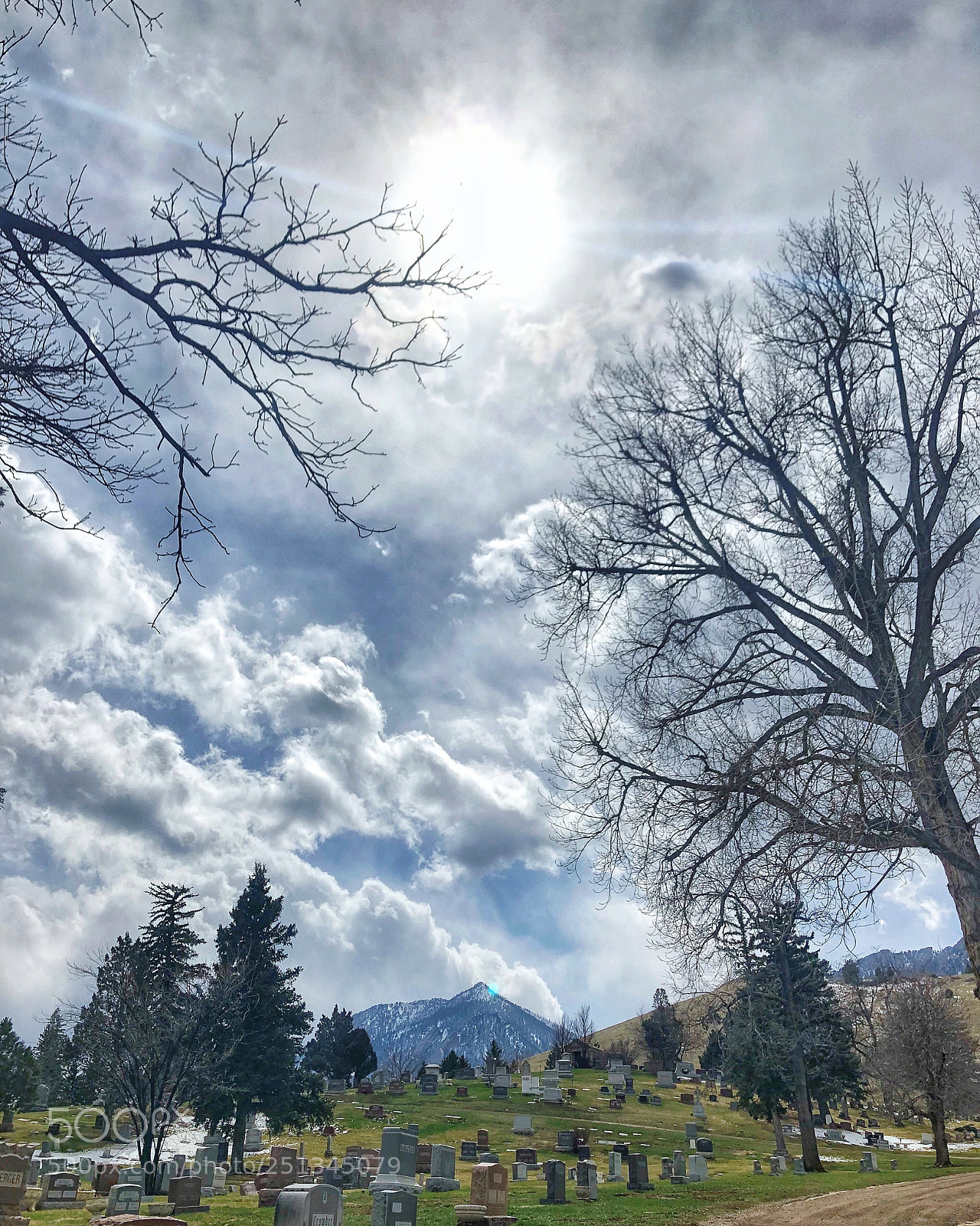 Apple iPhone 8 Plus sample photo. Cemetery sun photography