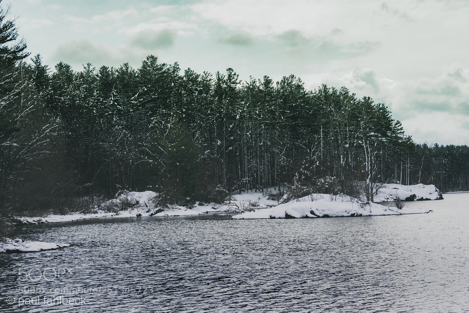 Nikon D7200 sample photo. Untitled photography
