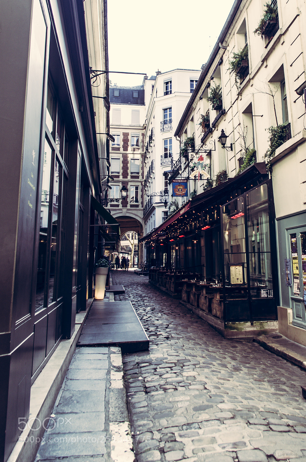 Pentax K-30 sample photo. Surprising paris photography