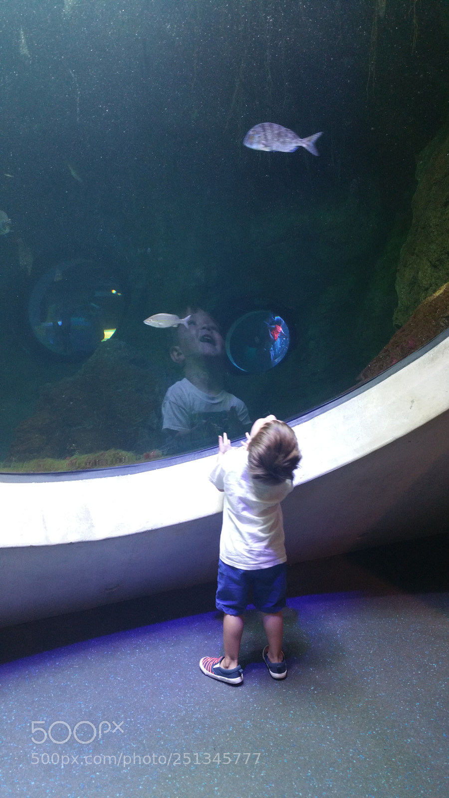 Samsung Galaxy Note4 sample photo. Aquarium photography