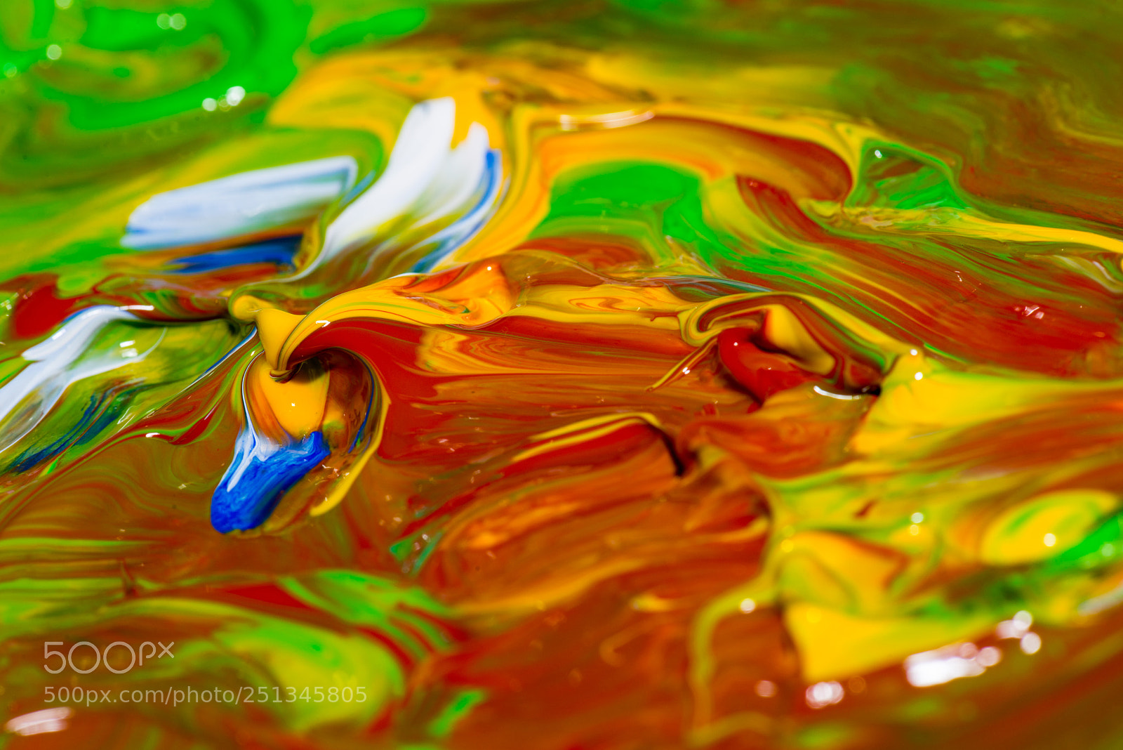 Nikon D600 sample photo. Sea of colors photography
