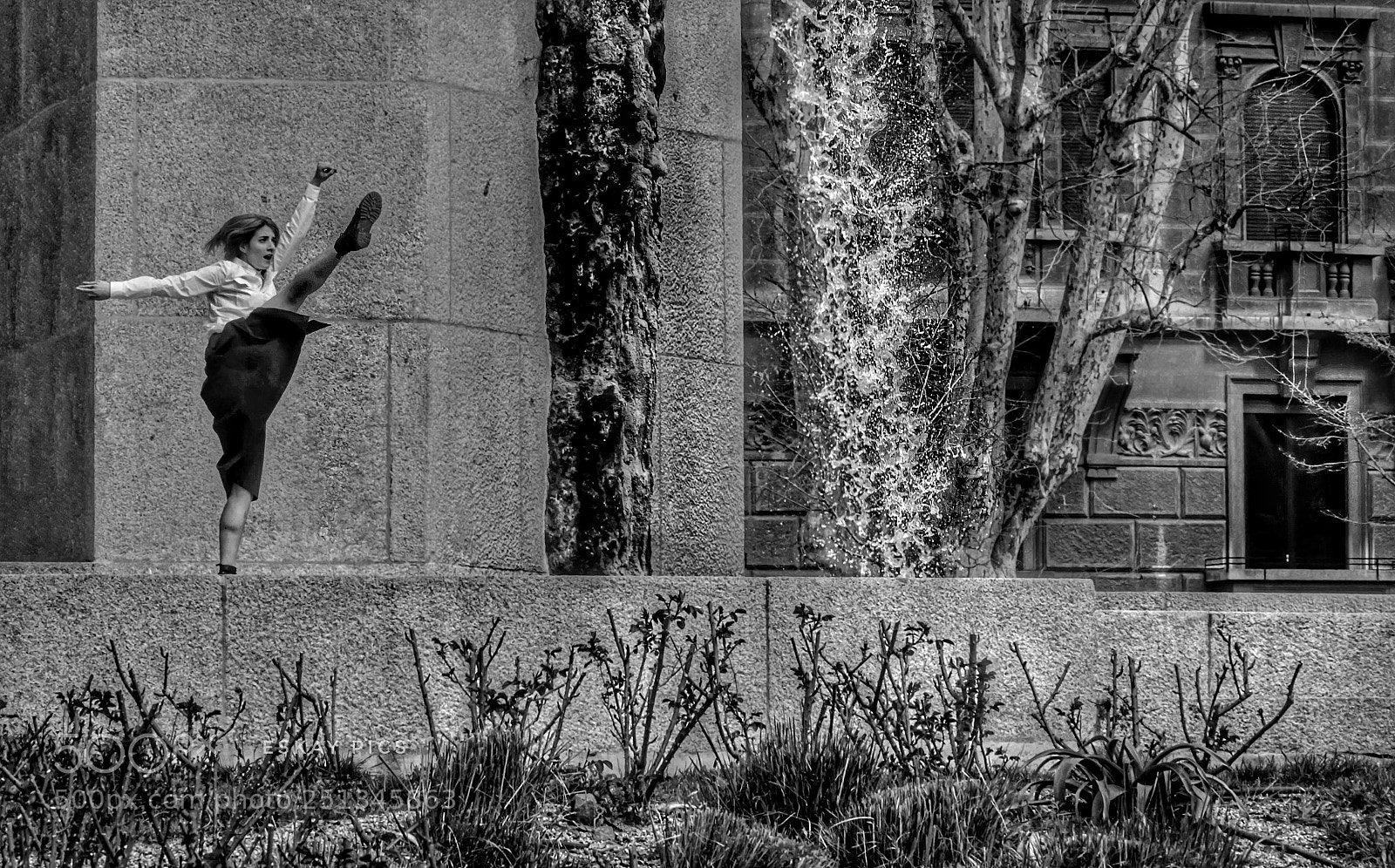 Sony a6000 sample photo. Instants of fluid freedom 2/2 photography