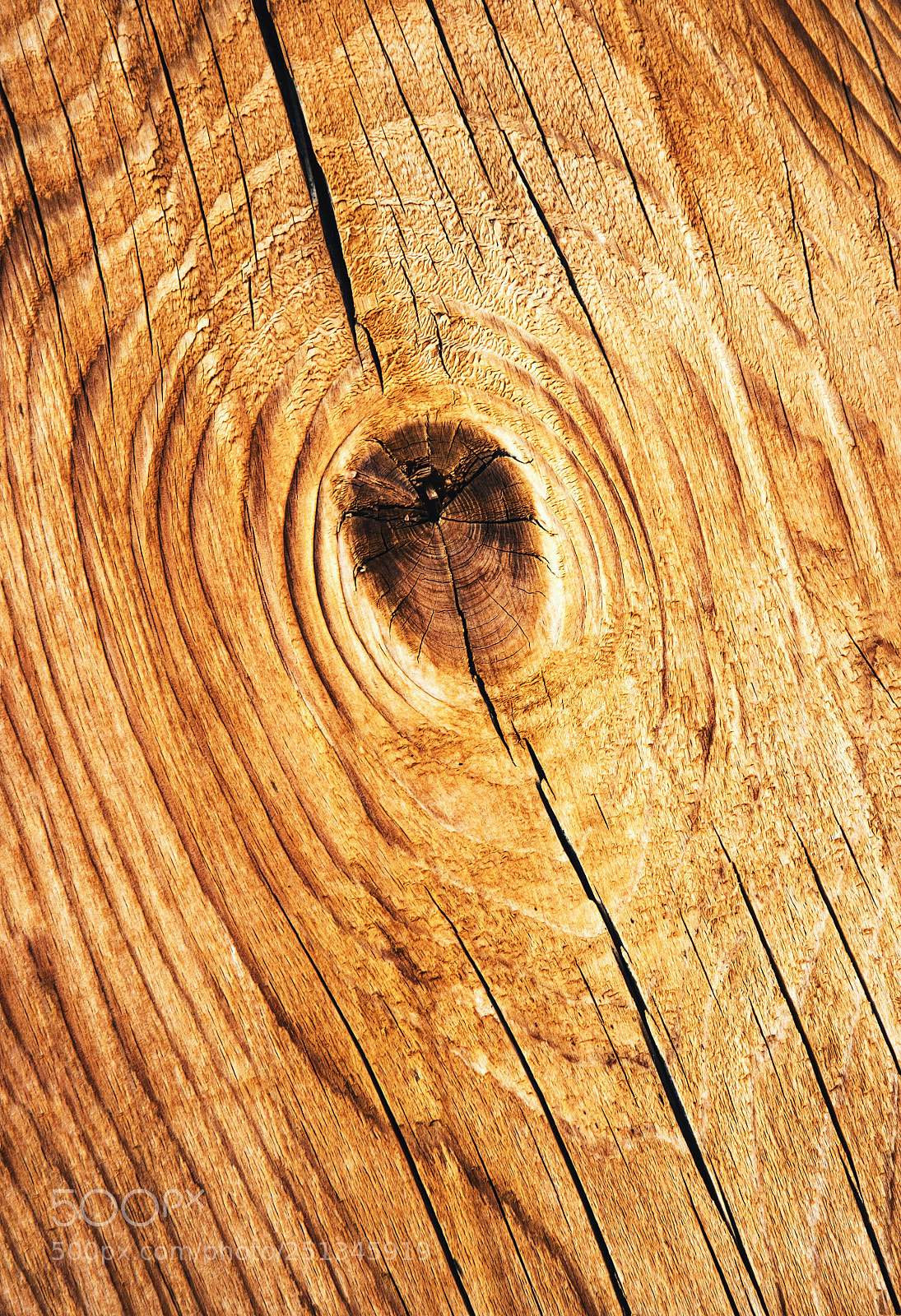 Nikon D5500 sample photo. Detail wood ocher color photography