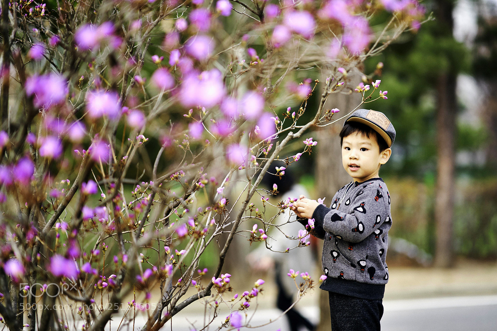 Sony a9 sample photo. Son in the flower photography