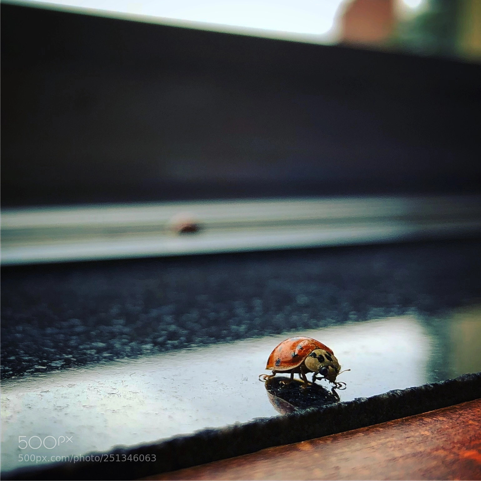 Apple iPhone 8 sample photo. Untitled photography