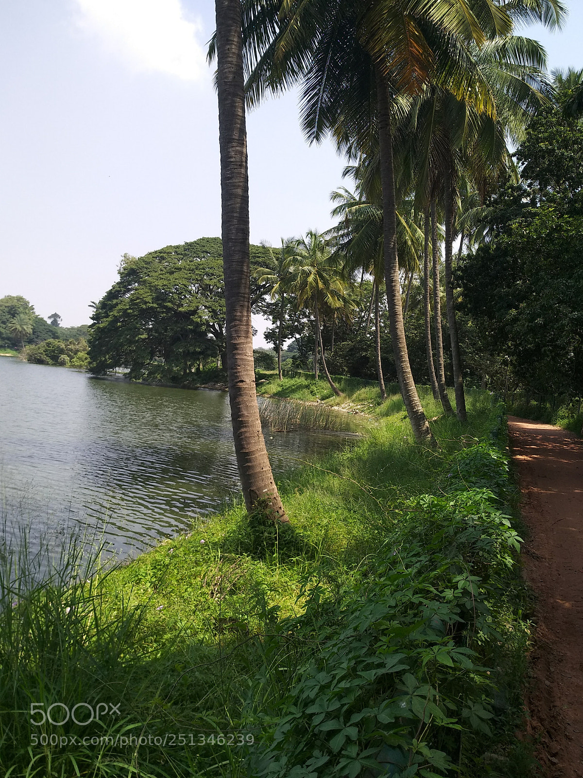 Xiaomi MI MAX 2 sample photo. Untitled photography