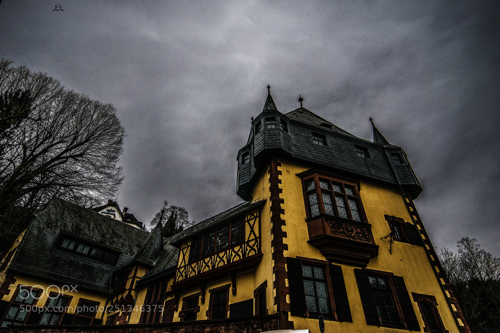 Nikon D800 sample photo. Heidelberg - dark fraternities photography