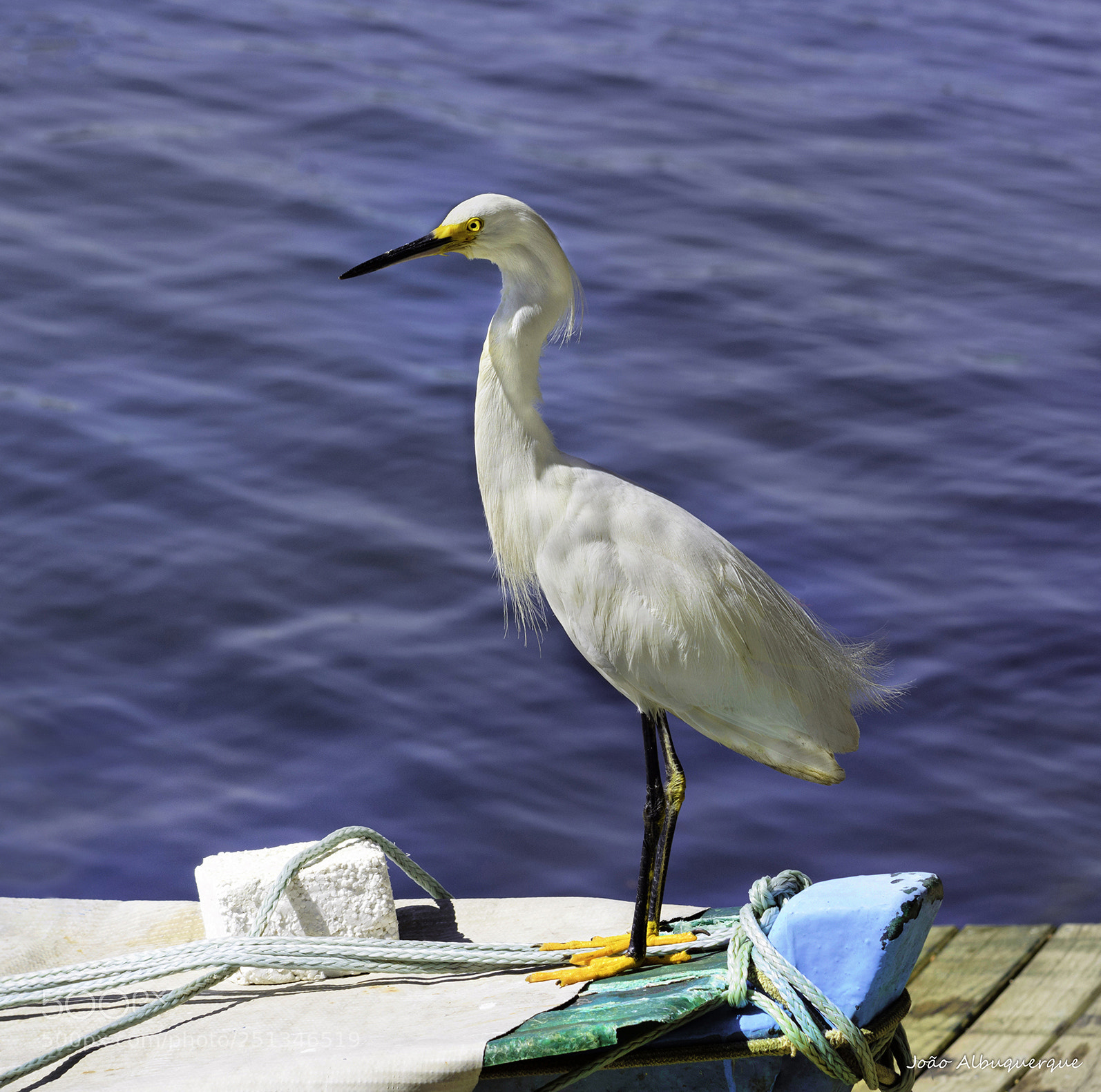 Nikon D5200 sample photo. On the boat photography