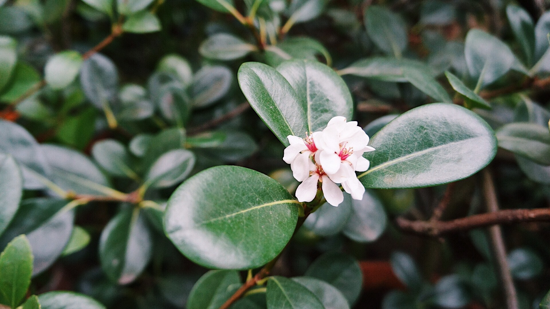 Sony Alpha NEX-F3 sample photo