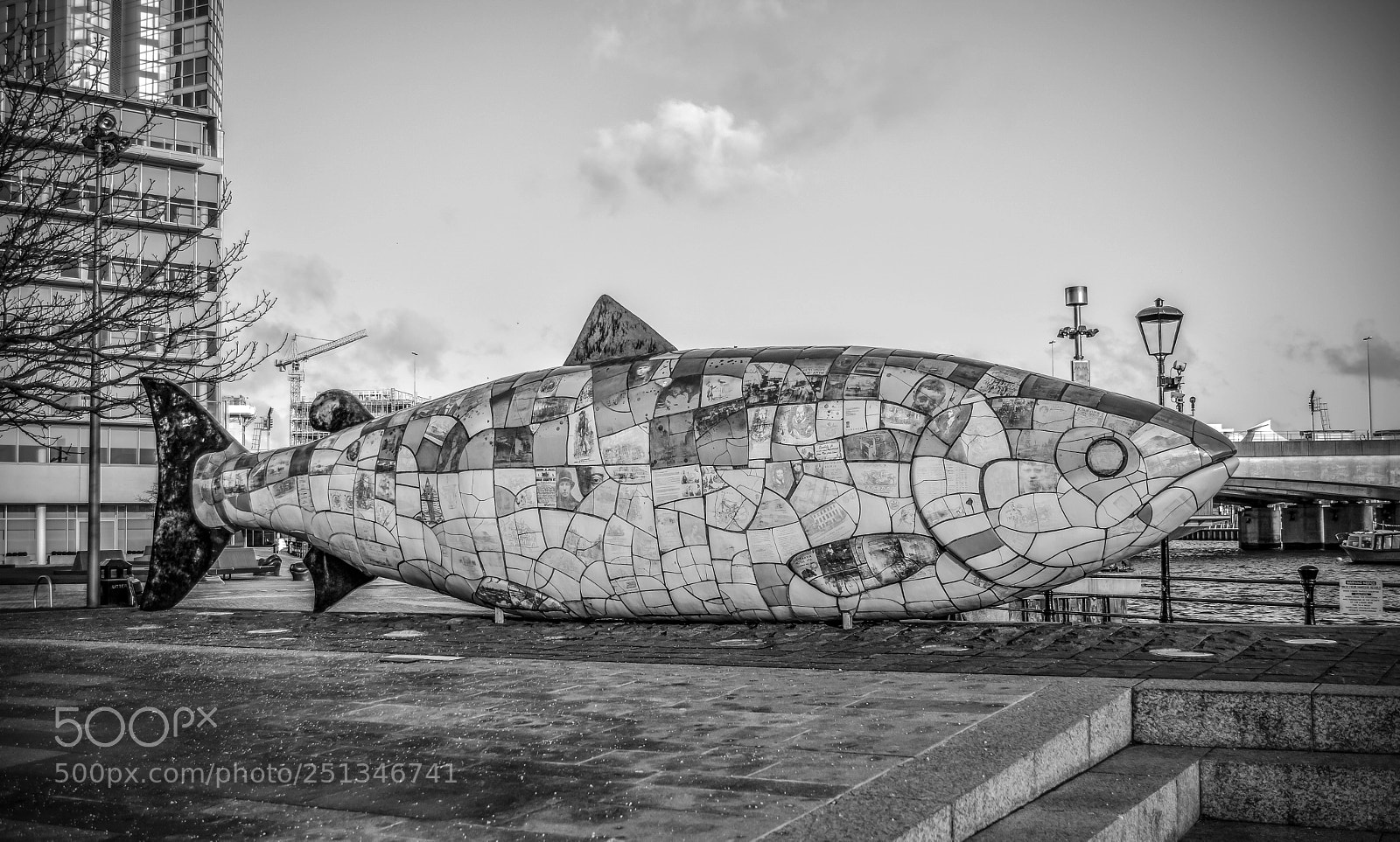 Nikon D5200 sample photo. The big fish photography