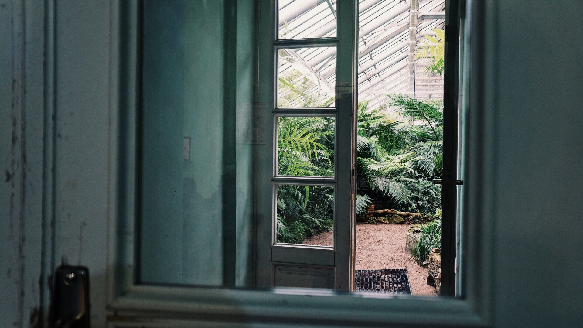 Sony Alpha NEX-F3 sample photo