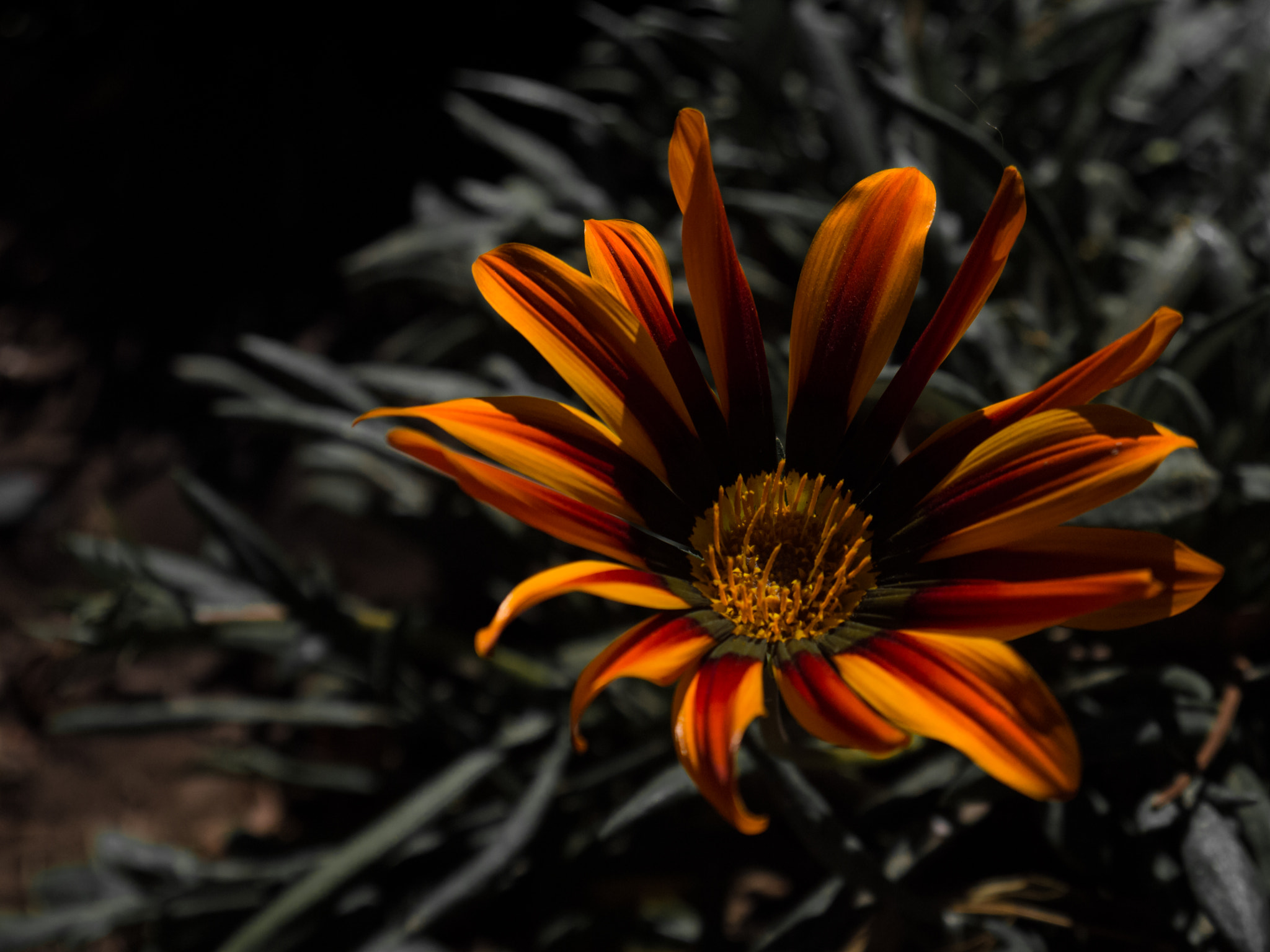 Panasonic Lumix DMC-GF5 sample photo. Colour. photography