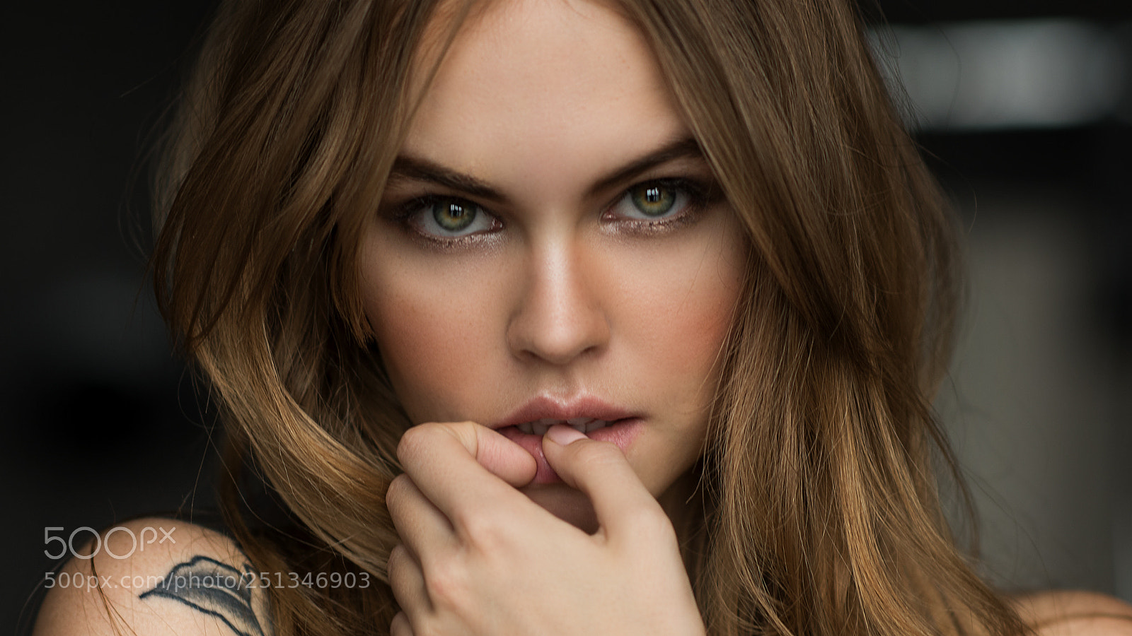 Nikon D810 sample photo. Closeup #3 photography