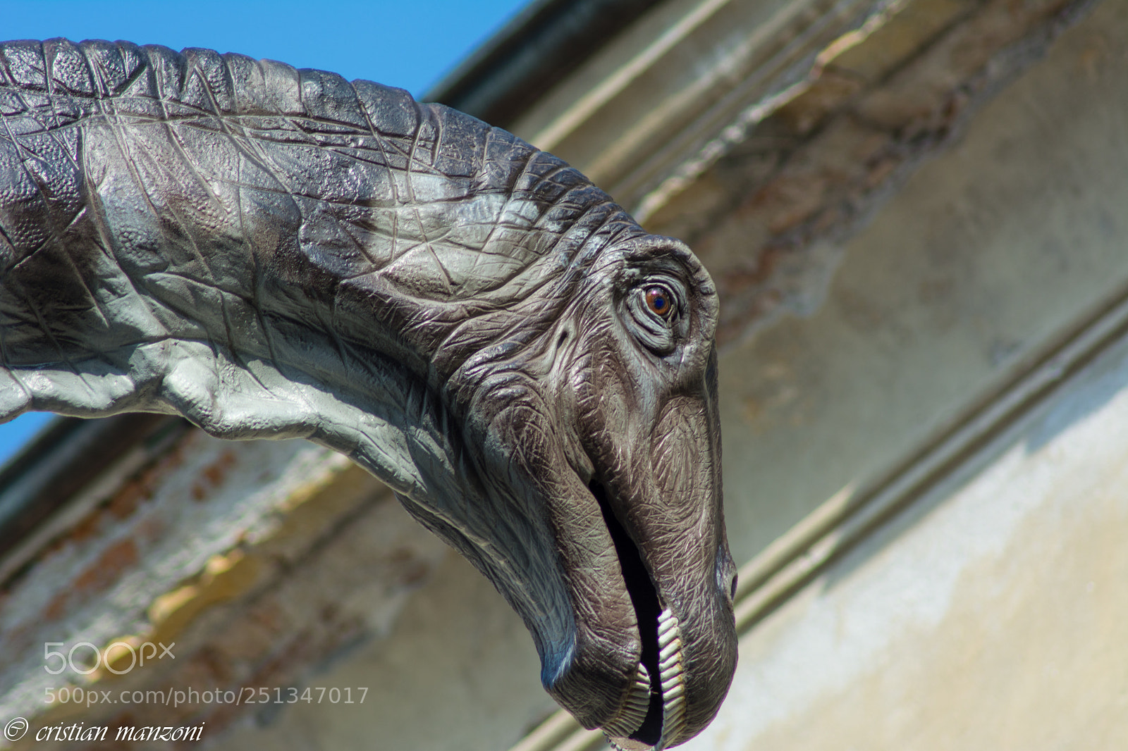 Nikon D5200 sample photo. Untitled photography