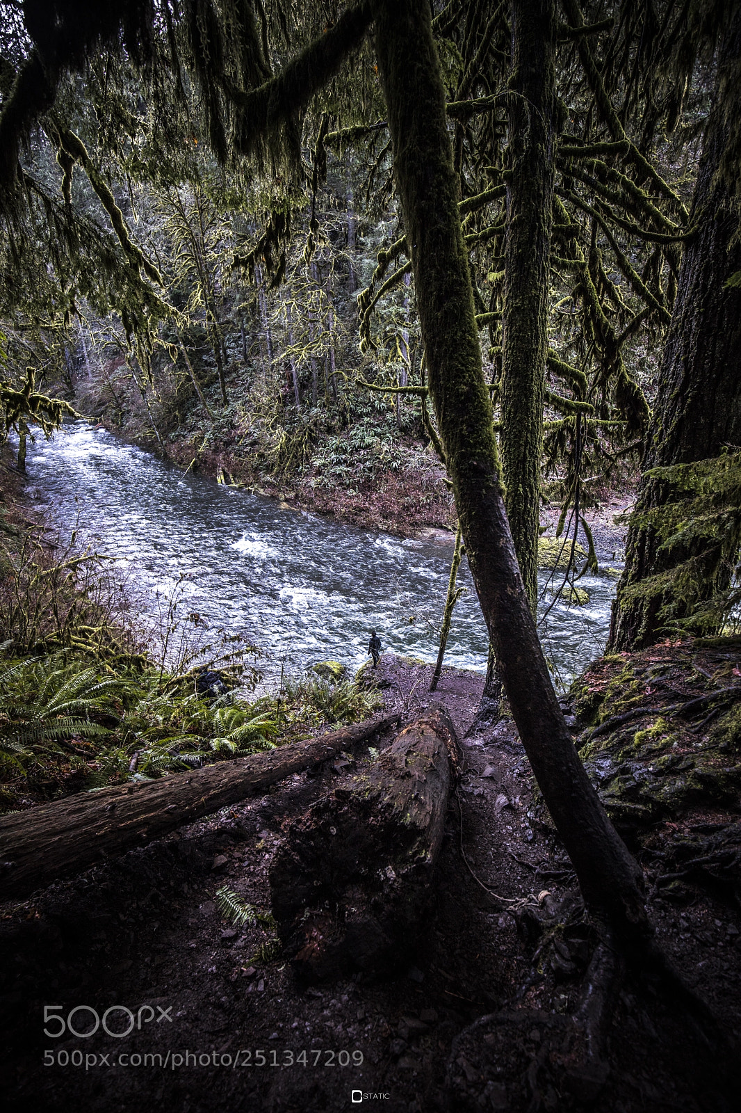 Canon EOS 5D Mark IV sample photo. Way to aviqua falls photography