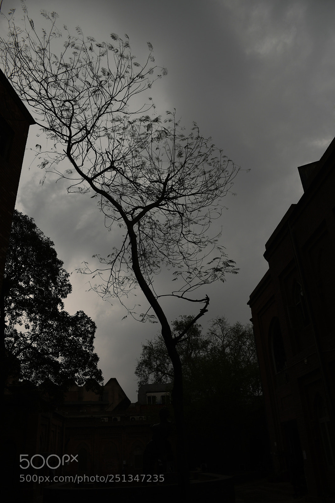 Nikon D7500 sample photo. Silhouette photography