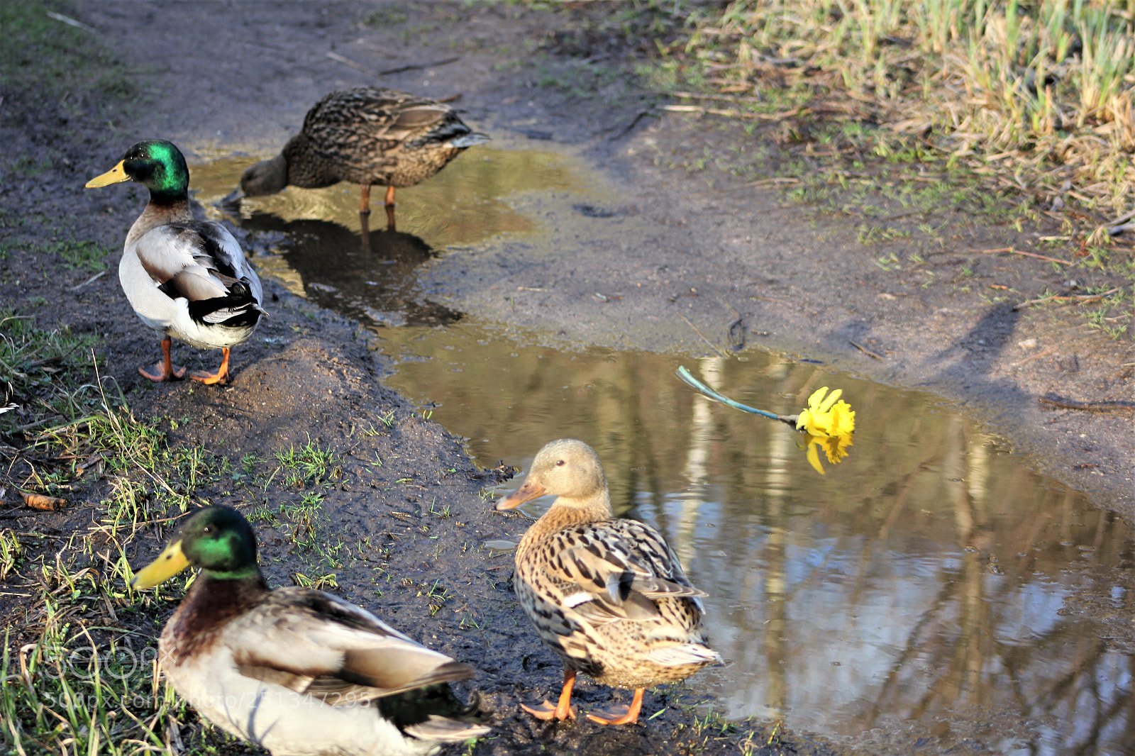 Canon EOS 60D sample photo. Retrouvailles photography
